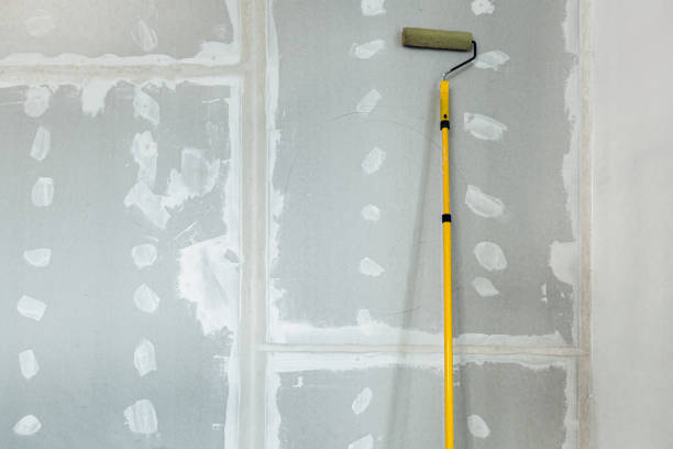 Best Mold Removal for HVAC Installations  in La Fayette, AL