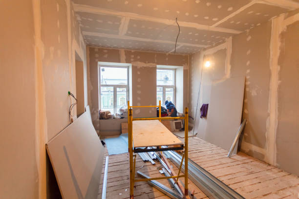 Best Black Mold Removal  in La Fayette, AL